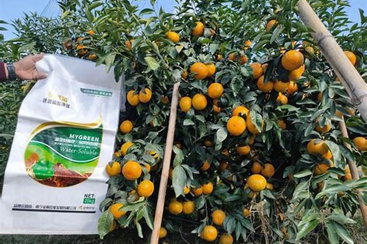 葡萄开花前施什么肥料