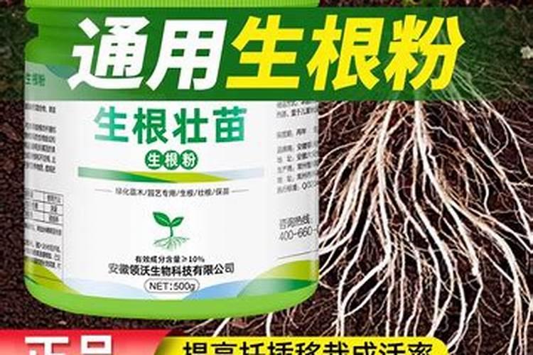 种西瓜用什么肥料好