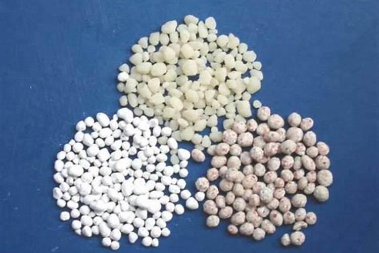 栀子花底肥放什么肥好 底肥施用方法