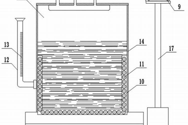 盆栽叶子颜色泛黄