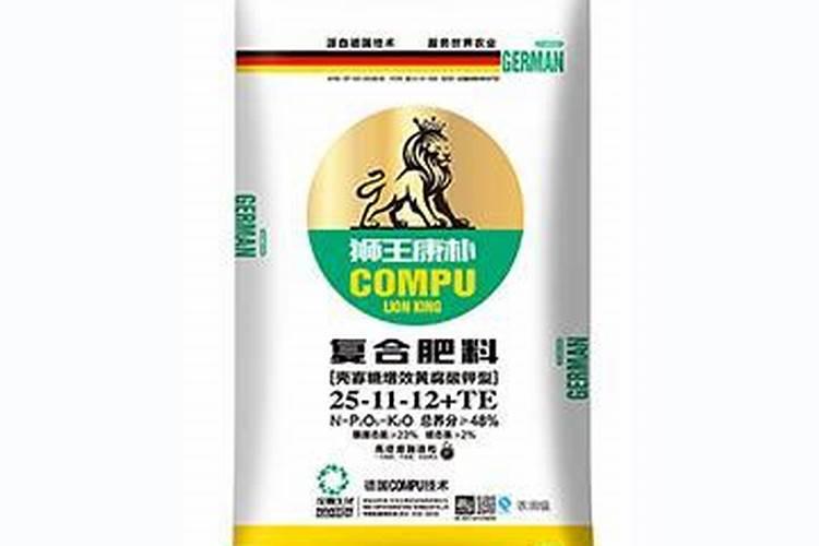 四季茶花的养殖方法