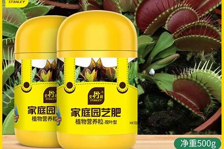 玉米大喇叭口期打尿素一桶水用量是多少