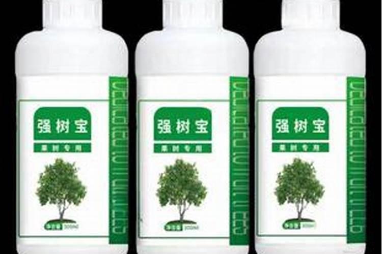 根生则生,根亡则亡,养根护根很重要!(上桥生物)