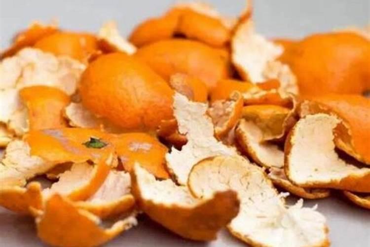 吃完的橘子皮不要丢,水里一泡成肥水,比5瓶营养液还还用!