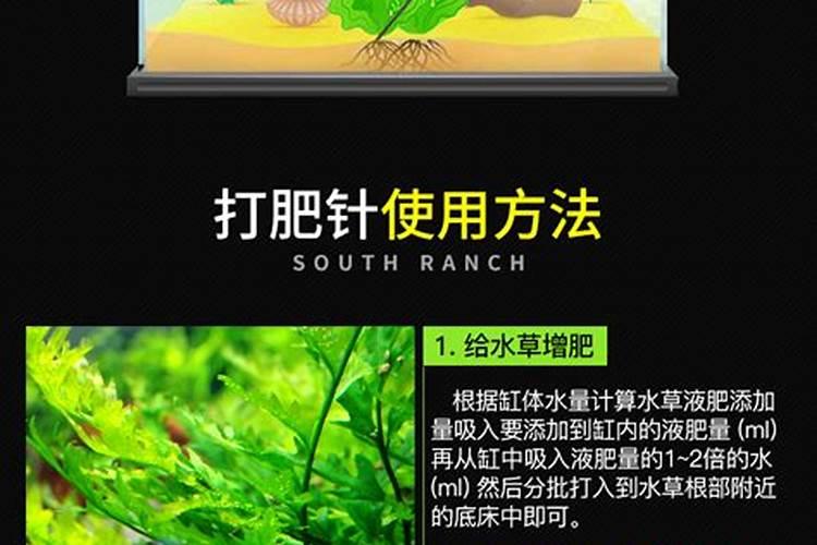 水肥液是放在草缸水里好还是注射到植草泥里好