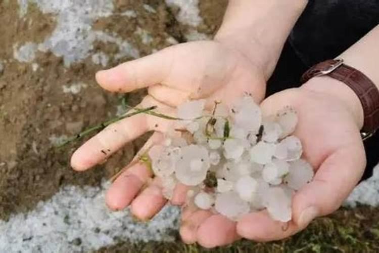 怎样辨别矿源黄腐酸钾的真假？