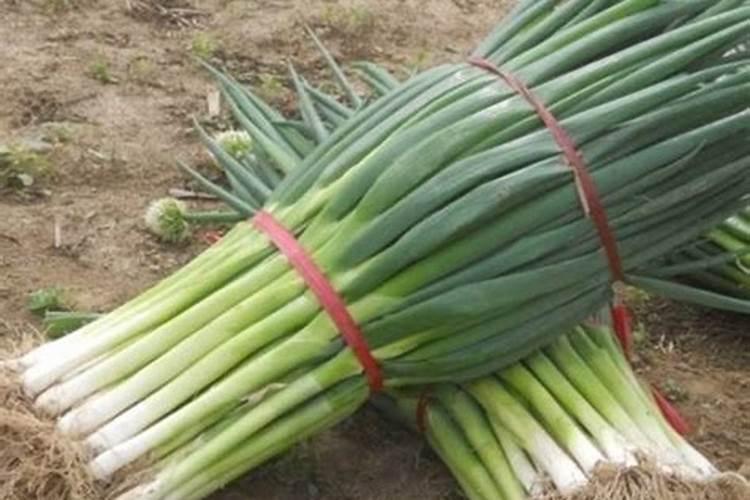 白三叶草作为绿肥作用好吗 多少钱一斤