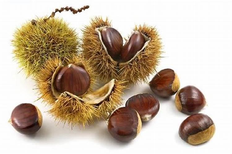 栗子是什么？