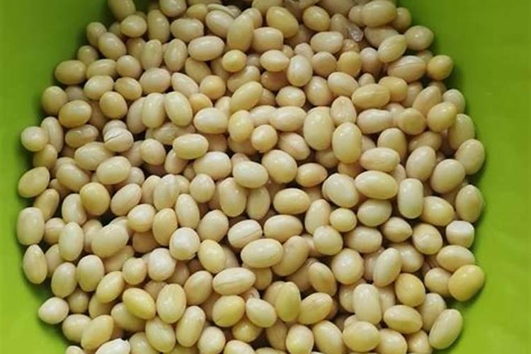 用发酵的泡黄豆水给黄瓜、芸豆施肥可以吗？