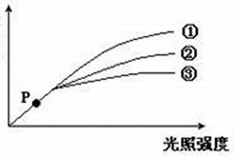 高考光合作用和呼吸作用在现实中的应用