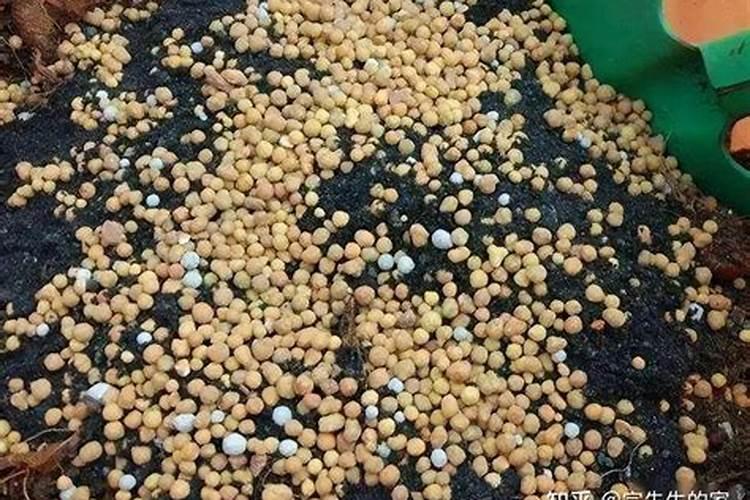 茉莉花施什么肥好