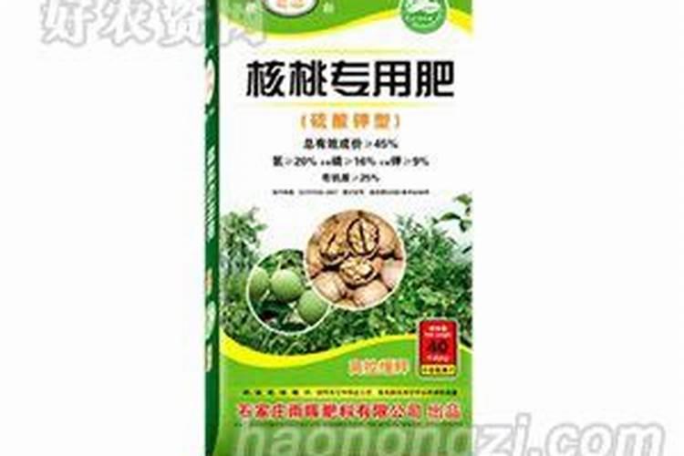 金钱树叶子没光泽怎么处理