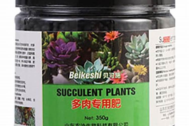 多肉施肥用什么肥料？