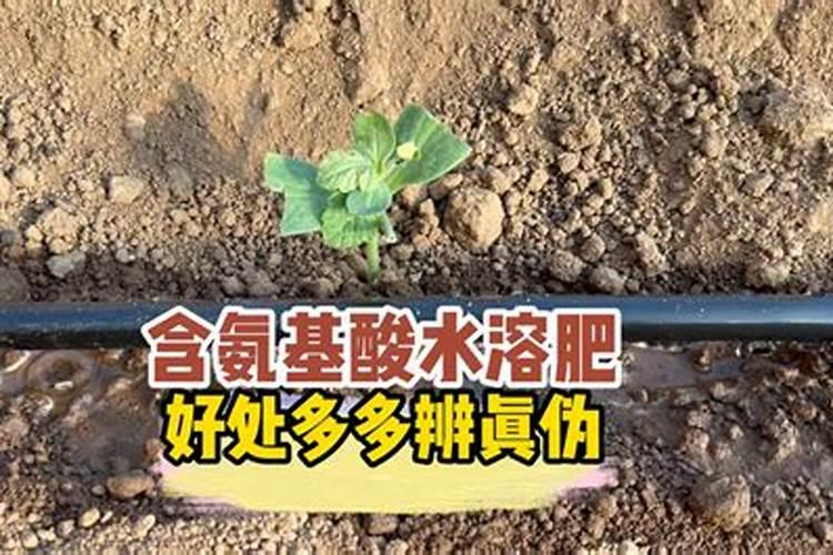 植物缺了氮肥,磷肥和钾肥会怎么样,分别举例说明。