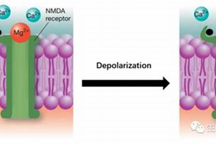 镁肥的主要作用是什么,如何科学施用镁肥？