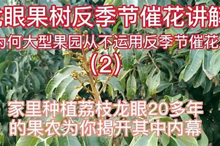 甘蔗有什么营养吗？