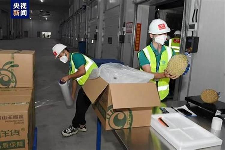 玉米追氮肥最佳