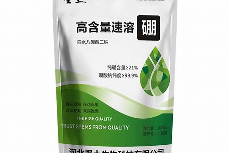 柑橘苗叶面肥施药方法