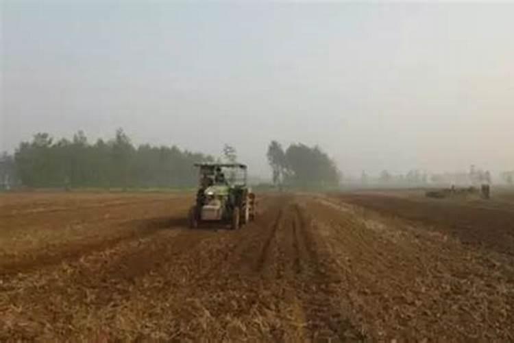 怎么给花补氮肥