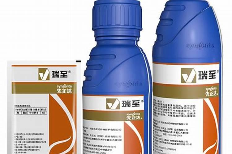 氮肥怎么用对植物好