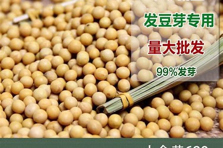 如何选择优质大豆品种？