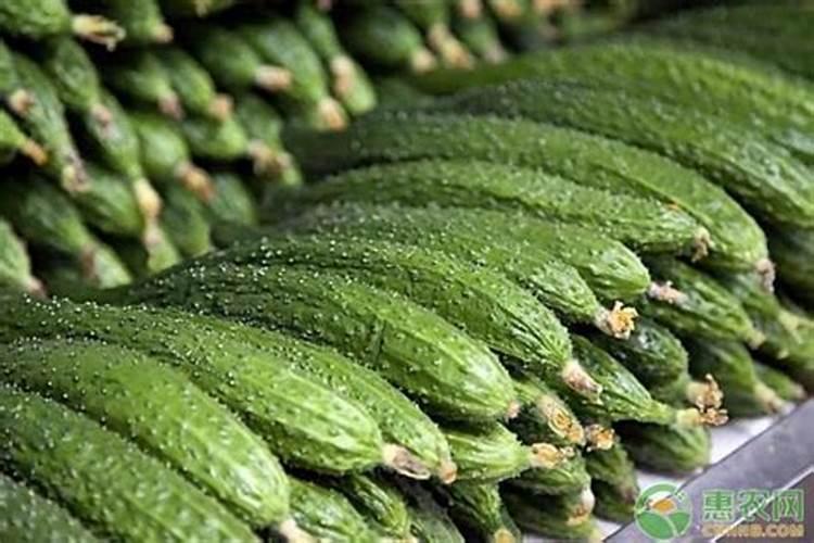 无锡最大的蔬菜批发市场