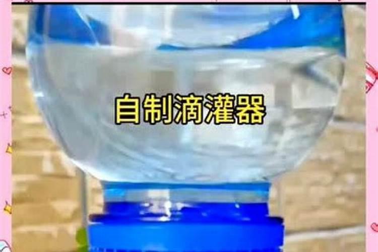 豆角冲什么水溶肥最好