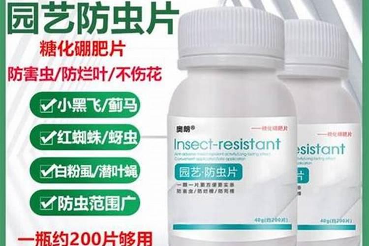糖化硼肥片真能防虫吗