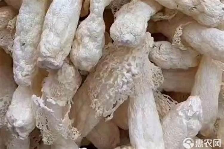 竹荪的10种最佳吃法