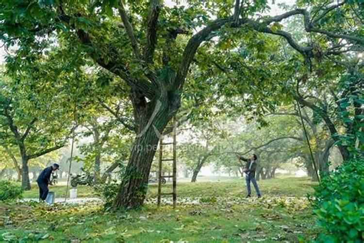 我自己开了一家干洗店,做不下去了怎么办