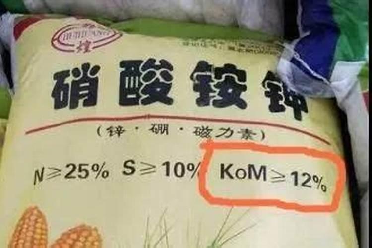 绿植用什么肥料最好