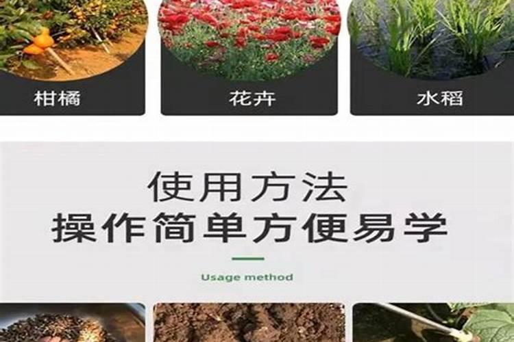 7月份用矿源黄腐酸钾的地区