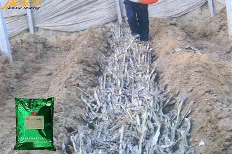 动物蛋白水解,酶法生产胶原蛋白、软骨素、HAP工艺简介