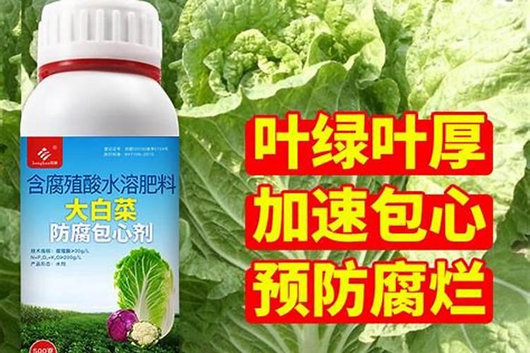 什么是水解蛋白饵？揭秘水解蛋白饵的垂钓效果