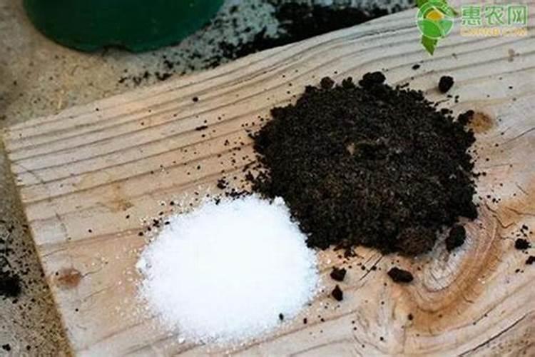 柑橘花少果少,用什么水溶肥进行管理？