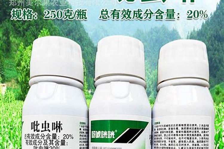 砂糖橘高产种植方法