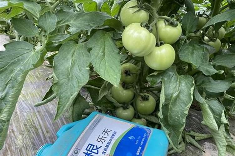 矿源黄腐酸钾最佳搭配