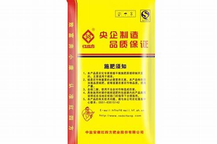 怎样让真宙月季爆盆