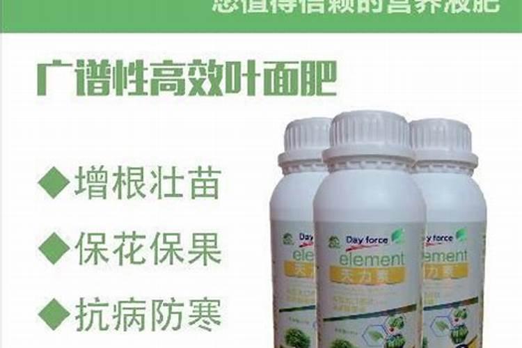 柴火灰可以做肥料吗