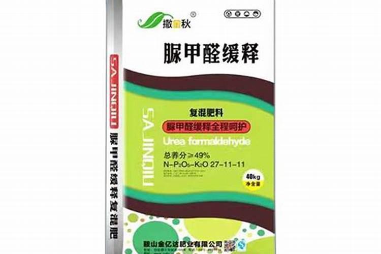 一叶苗君子兰多长时间服盆,服盆君子兰小苗几天开始浇水