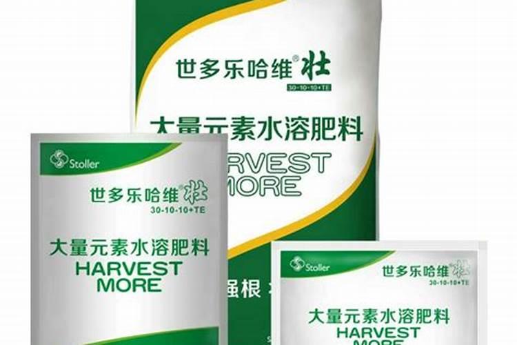 生姜怎样追肥比较好