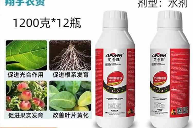 山东有哪些可以可以欣赏到樱花的景点？