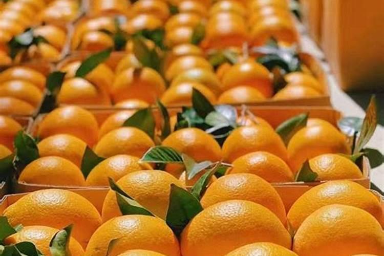 果树谢花后怎么施肥更好,谢花肥的作用有哪些