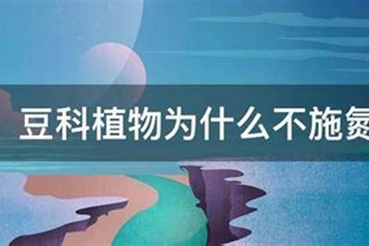 为什么豆类植物不需要施氮肥