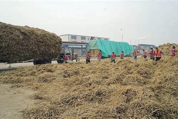 云南滇璞肥业有限公司的肥料价格是多少