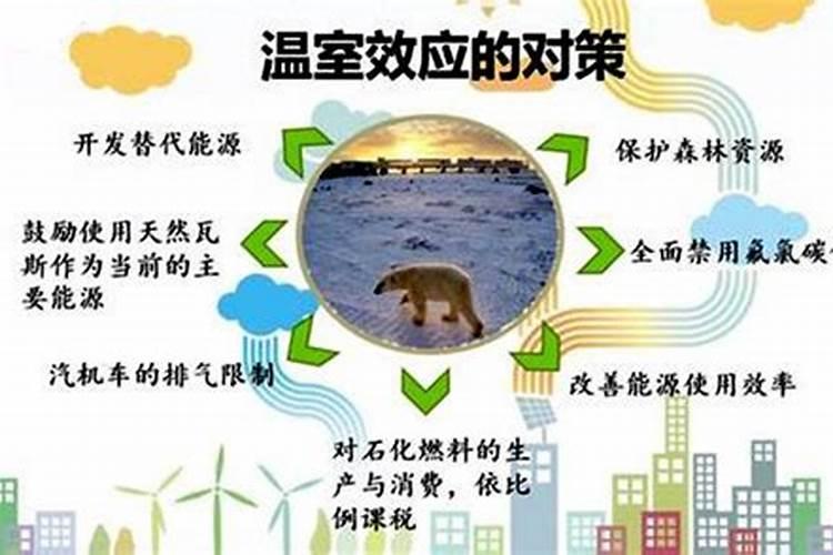 土壤病菌严重的地块上什么复合肥比较好