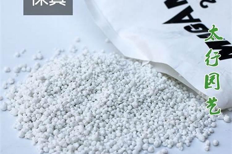 用青苔种兰花怎么施肥