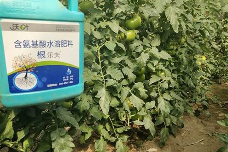 太原有哪些茶城