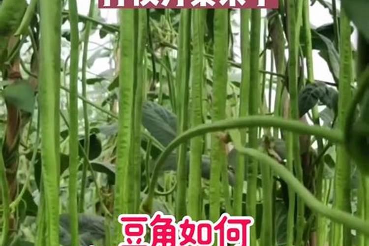 矿源黄腐酸钾腐殖酸水溶肥,矿源黄腐酸钾对土壤板结效果!