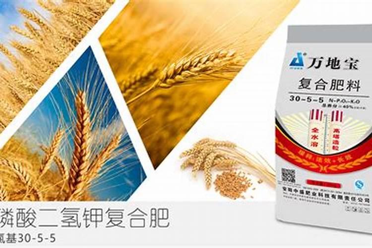 露天西瓜几月份种植最好 什么时候种植最好